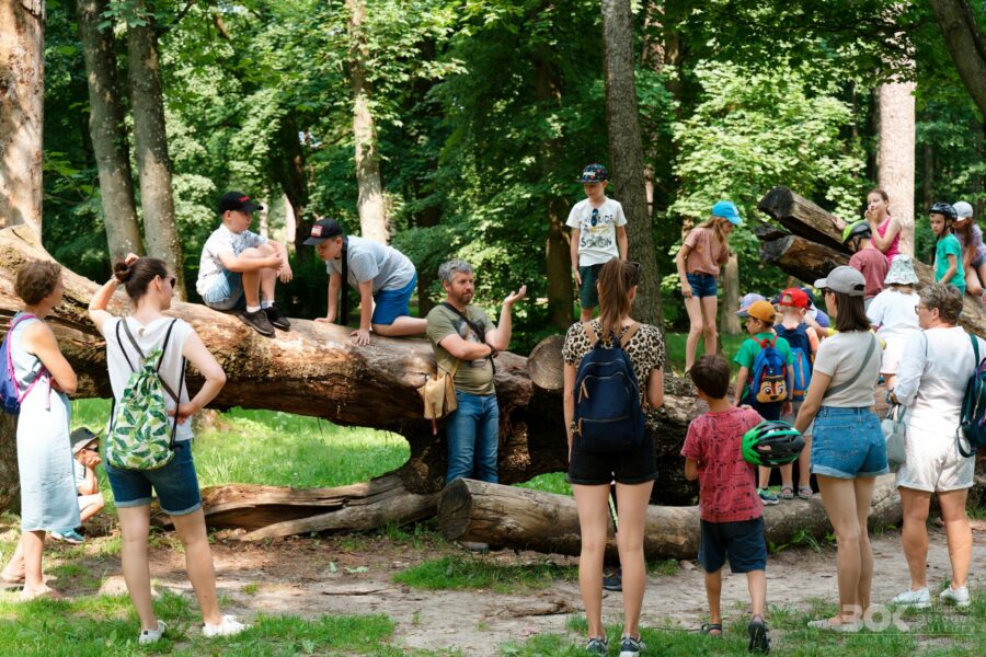 Paweł Średziński opowiada coś uczestnikom spaceru w lesie, część z nich stoi lub siedzi na pniu drzewa
