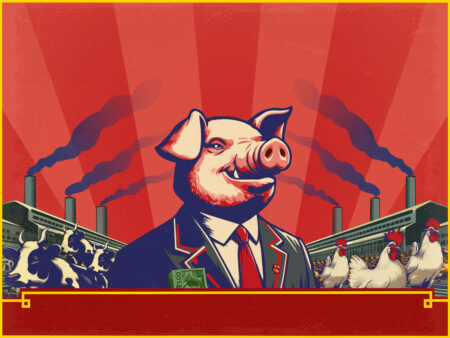 Pokaz specjalny – FOOD FOR PROFIT