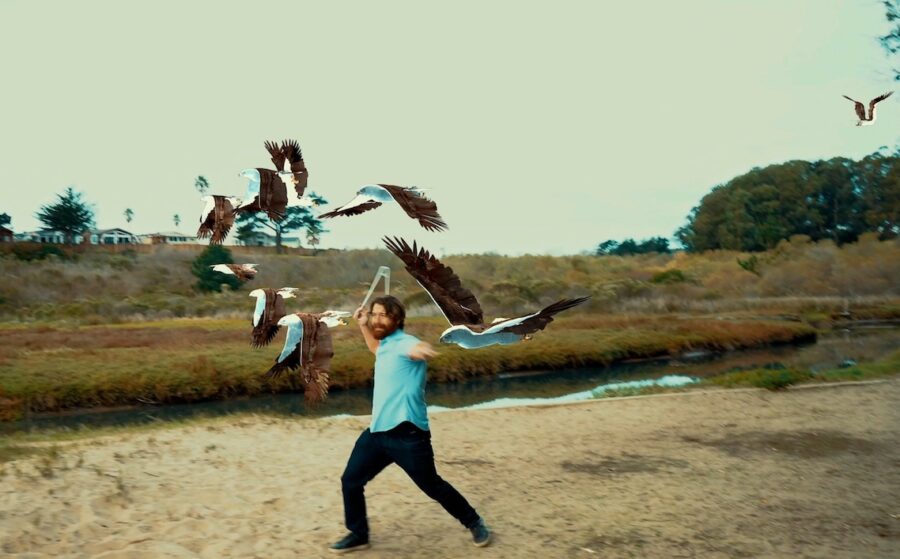 Najlepsze z Najgorszych: Ptakodemia 3: Morski Orzeł