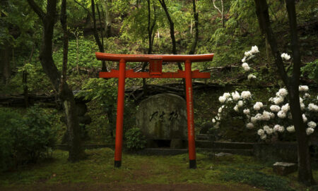 Ciekawi Świata: Joanna Murzydło | Shikoku Henro – szlakiem 88 świątyń na wyspie Shikoku w Japonii