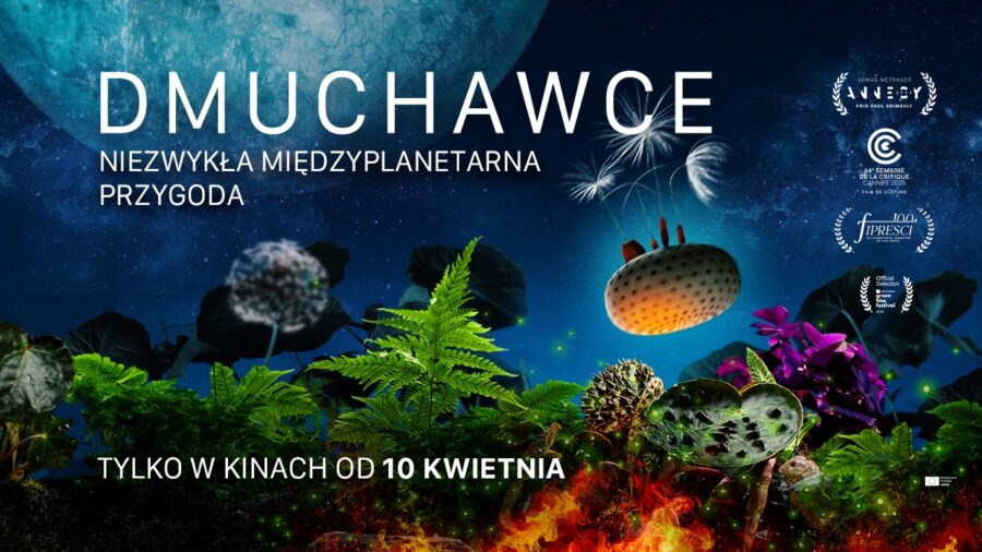 Dmuchawce – pokaz sensorycznie przyjazny z Dzikoprzygodami!