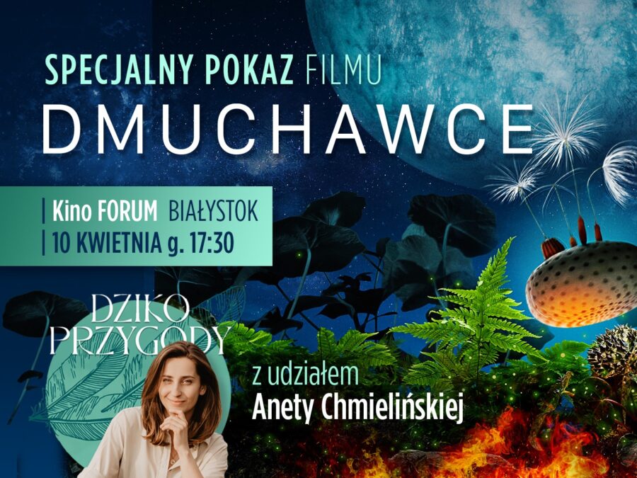 Dmuchawce – pokaz sensorycznie przyjazny z Dzikoprzygodami!