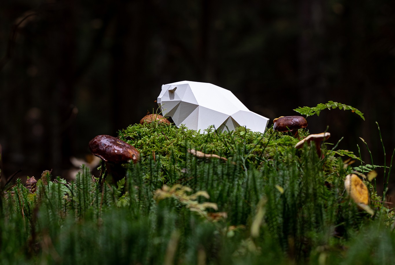 Ruszył nabór filmów na 20. MFFK ŻUBROFFKA